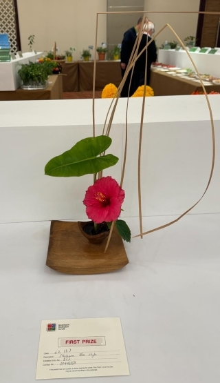 ナディアさんの日本大使賞受賞作品